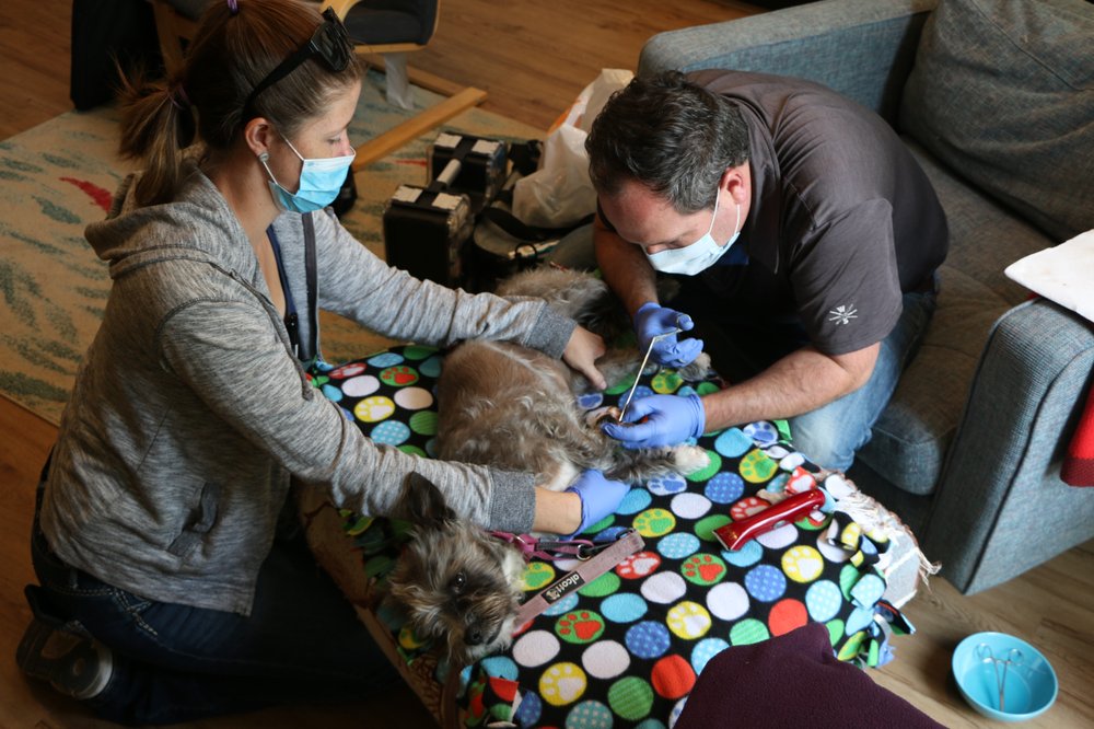 FRAZIER MOBILE Updated October 2024 40 Reviews San Francisco