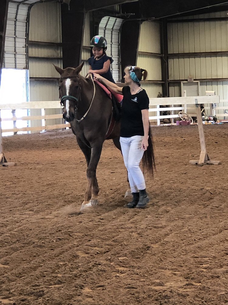 BAY AREA EQUESTRIAN CENTER 13 Photos & 11 Reviews 1908 E Bdwy
