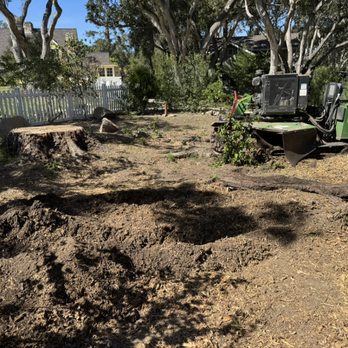 The Tree Brothers - Large stump grinding - Tree Services Near Me - Salinas, California The Tree Brothers - Large stump grinding - Tree Services Near Me - Salinas, California