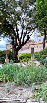 Borgo Pignano by null
