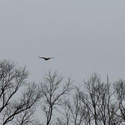 Scioto Grove Metro Park