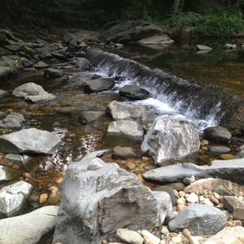 Dora Kelley Nature Park - Parks Near Me - Alexandria, Virginia