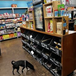 Hip Hound - Love the smorgasbord for the pups!