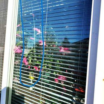 Mendez Tree Removal And Trimming - Tree Services Near Me Mendez Tree Removal And Trimming - Tree Services Near Me