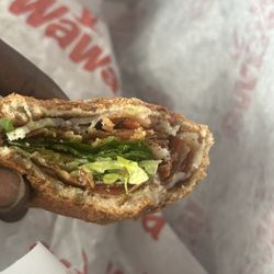 Wawa - Sammie