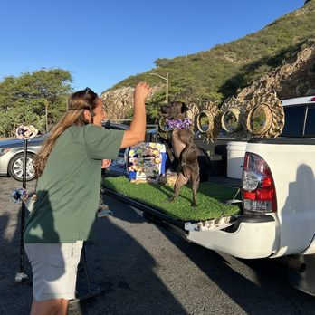 The Pineapple Exp - Entertaining pup at one of our lookout spots. - Bus Tours Near Me
