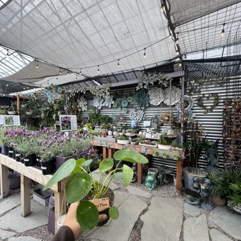 Half Moon Bay Lavender - Nurseries & Gardening Near Me - Half Moon Bay, California Half Moon Bay Lavender - Nurseries & Gardening Near Me - Half Moon Bay, California