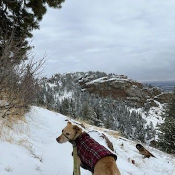 Lory State Park - Hiking Near Me - Bellvue, Colorado Lory State Park - Hiking Near Me - Bellvue, Colorado