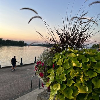 Digger's Sting Restaurant - Mississippi River two blocks west of restaurant - New American Near Me - La Crosse, Wisconsin Digger's Sting Restaurant - Mississippi River two blocks west of restaurant - New American Near Me - La Crosse, Wisconsin