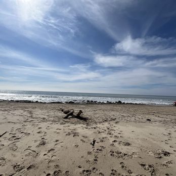Arroyo Burro Beach - Beaches Near Me - Santa Barbara, California