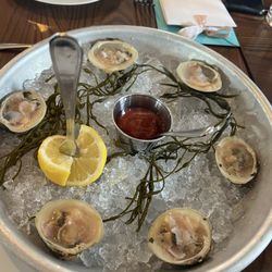 Roost - Clams
