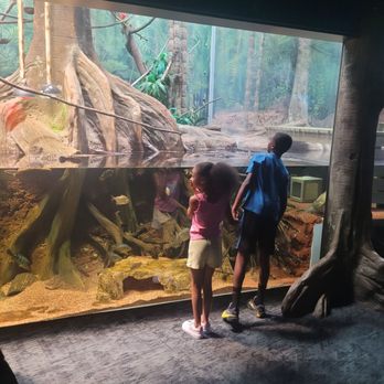 Greensboro Science Center - Zoos Near Me - Greensboro, North Carolina Greensboro Science Center - Zoos Near Me - Greensboro, North Carolina