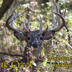 Oak Creek Whitetail Ranch - Each season we have some of the largest Midwestern Whitetail Deer in the country at Oak Creek Whitetail Ranch.
