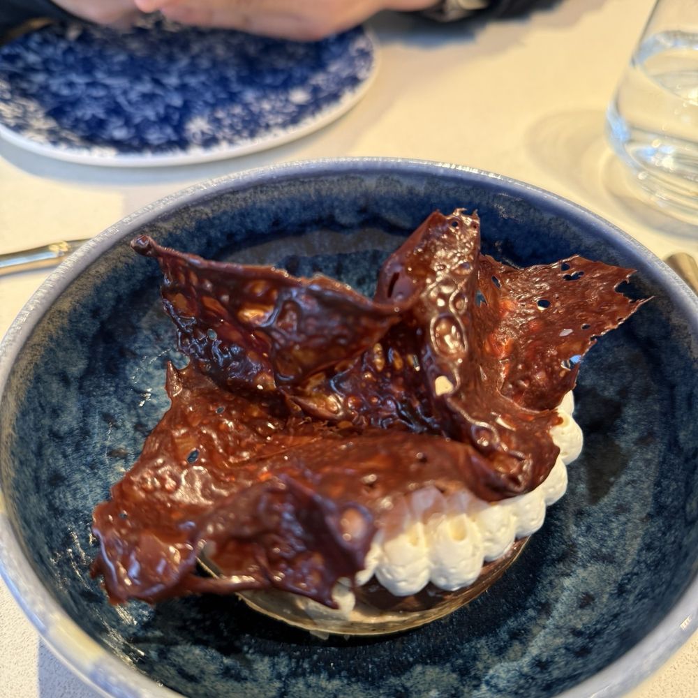 kann - Chocolate mouse - Caribbean Near Me - Portland, Oregon