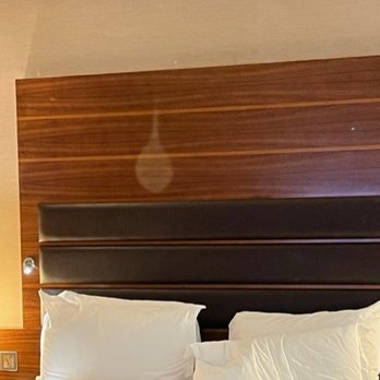 Sofitel London Heathrow - Hotels Near Me - Hounslow, XGL