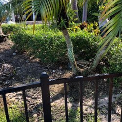 R & W Landscaping And Services