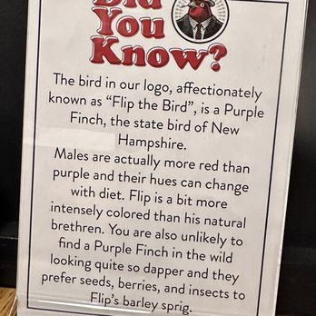Vulgar Brewing Company - They've got a cool logo/mascot, Flip the Bird - Pizza Near Me - Franklin, New Hampshire Vulgar Brewing Company - They've got a cool logo/mascot, Flip the Bird - Pizza Near Me - Franklin, New Hampshire
