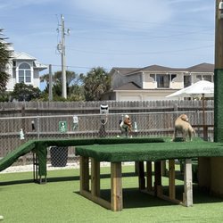 Good Times Dog Bar - King of the hill!