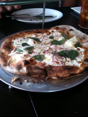 Blue Ribbon Artisan Pizzeria by null