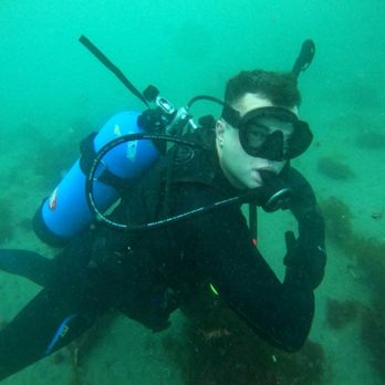 Salty Fins Diving - PADI Certified diver - Scuba Diving Near Me Salty Fins Diving - PADI Certified diver - Scuba Diving Near Me