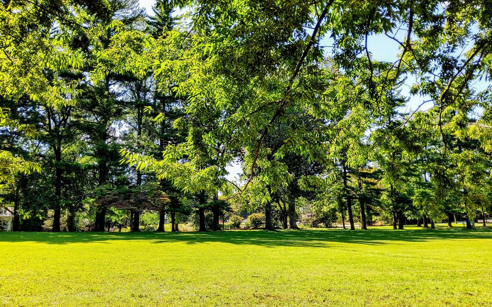 ASHBRIDGE MEMORIAL PARK 20 Photos & 12 Reviews Playgrounds 1301