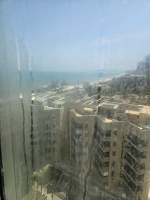 Windsor Barra Hotel by null