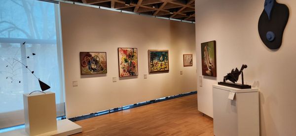 Yale University Art Gallery by null