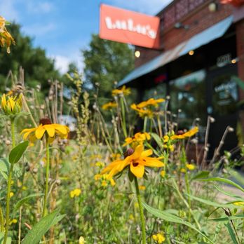 Lulu's Thai Noodle Shop - Asian Fusion Near Me - Westwood, Kansas