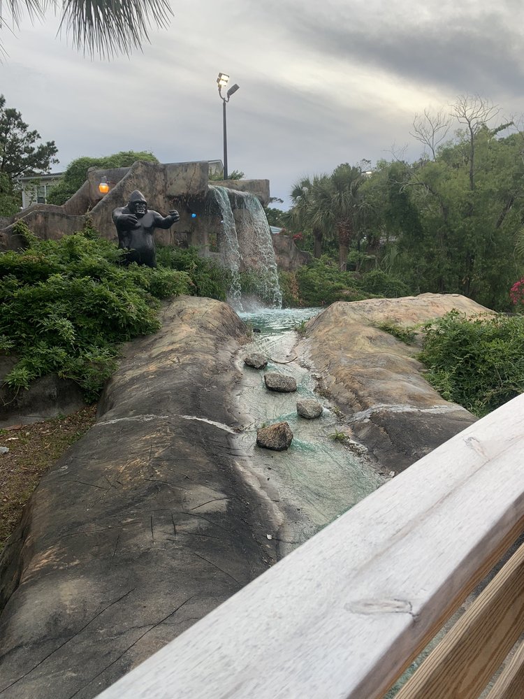 OAK ISLAND JUNGLE GOLF Updated October 2024 27 Photos & 27 Reviews