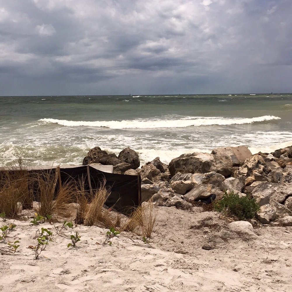 Sandbar - Opal Sands - View from tiki bar - Resorts Near Me - Clearwater Beach, Florida Sandbar - Opal Sands - View from tiki bar - Resorts Near Me - Clearwater Beach, Florida