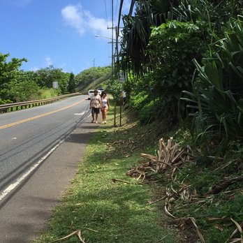 Pu'u Manamana Hiking Trail - the start is along the highway - Hiking Near Me Pu'u Manamana Hiking Trail - the start is along the highway - Hiking Near Me