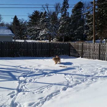 The Dog Lounge - Huck - Pet Groomers Near Me - Libertyville, Illinois The Dog Lounge - Huck - Pet Groomers Near Me - Libertyville, Illinois