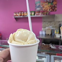 Sabor Tropical Icecream