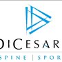Photo of Dicesaro Spine & Sport