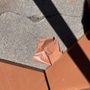 Photo of Clay Imports
