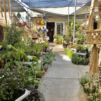 Plant Safari - Nurseries & Gardening Near Me - Upland, California Plant Safari - Nurseries & Gardening Near Me - Upland, California
