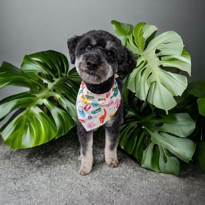 JURASSIC BARK - Updated February 2026 - 10 Photos - 137 Farnsworth