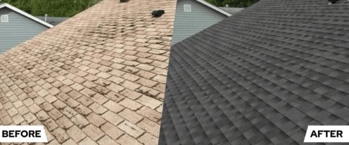 Slide of Pacific Roofs