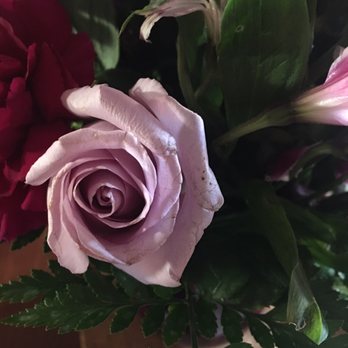 Stein Your Florist - Florists Near Me - Philadelphia, Pennsylvania