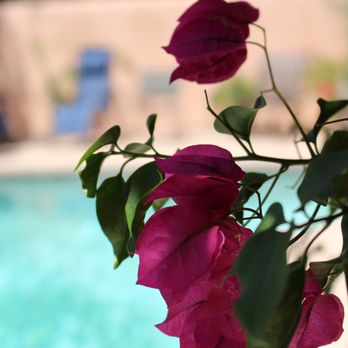 Adobe Rose Inn - Bed & Breakfast Near Me - Tucson, Arizona