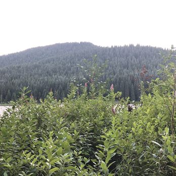 Trillium Lake - Lakes Near Me - Government Camp, Oregon Trillium Lake - Lakes Near Me - Government Camp, Oregon