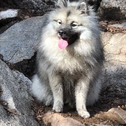 Happy Four Legged.