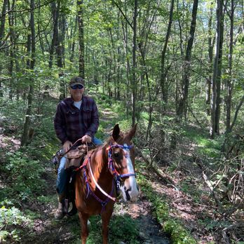 The Galloping Grape - a man riding a horse in the woods - Outdoor Gear Near Me - Warrenton, Virginia The Galloping Grape - a man riding a horse in the woods - Outdoor Gear Near Me - Warrenton, Virginia