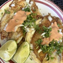 Fish tacos - it's the sauce! Our absolute favorite!