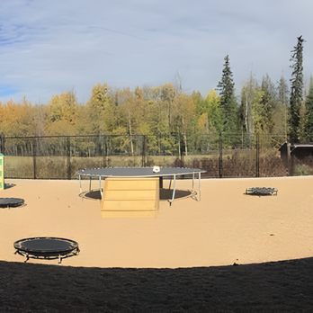 Northstar Kennels - Pet Boarding Near Me - Opal, Alberta