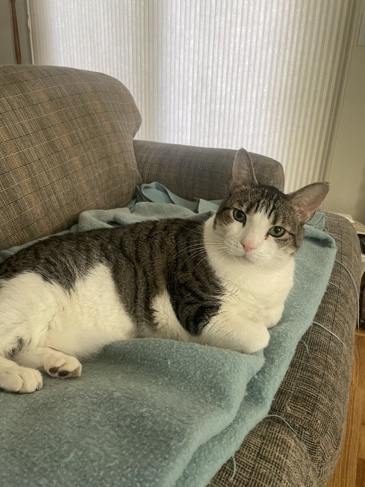 CRITTER SITTER Updated August 2024 11 Photos 8931 Plaza Park Dr