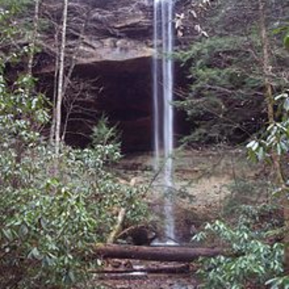 Yahoo Falls and Arch - Hiking Near Me - Whitley City, Kentucky Yahoo Falls and Arch - Hiking Near Me - Whitley City, Kentucky