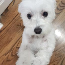 Post grooming! Post grooming!