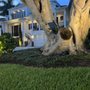 Shaffer's Irrigation & Outdoor Lighting
