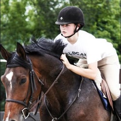 Lance Williamson Stables